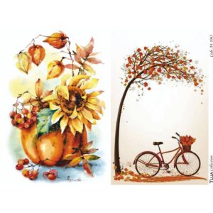 A4 1065 Ricepaper Tuja Collection