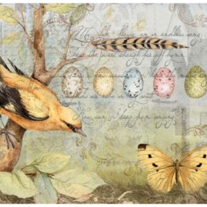 535 1 E1564572875136 Scaled 1