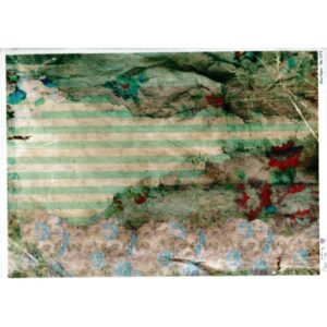 Ds 1571 1000x1000