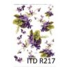 R217