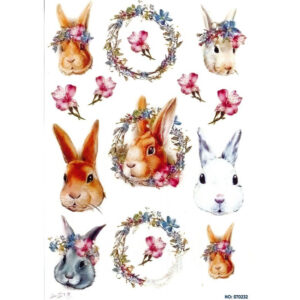 St0232 Rizoxarto Ricepape Rabbits