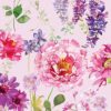 Amb 13309276 Pink Roses Lila