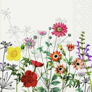 Stewo Ag 72 5685 21 Napkins 33x33 Cm Prairie