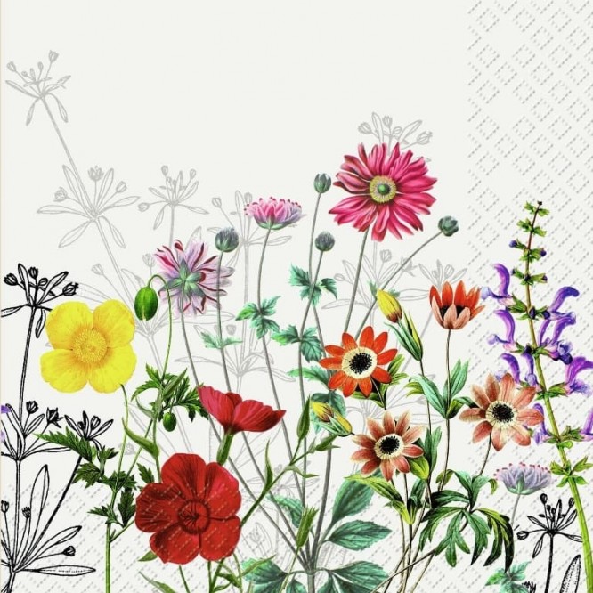 Stewo Ag 72 5685 21 Napkins 33x33 Cm Prairie Stewo Ag 72 5685 21 Napkins 33x33 Cm Prairie