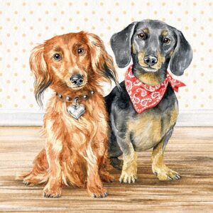 13313935 Xartopetsetes Gia Decoupage Napkin Ntekoypaz