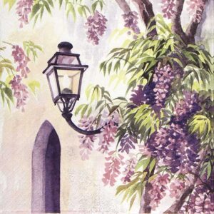 Paper Napkin Ti Flair Lantern Among Westeria Bloom 344626q