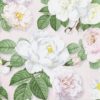 20 Servietten La Rosa Rose Weibe Rosen Auf Rosa 33x33cm 212124