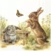 Products Animals L 805000