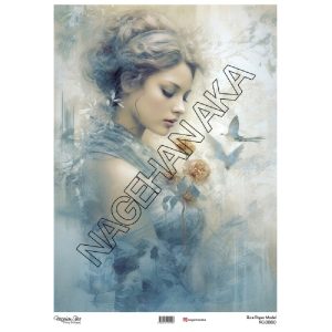 ριζόχαρτο 30x42 Ng080