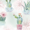 Screenshot 2021 06 11 At 17 33 42 Χαρτοπετσέτα για Decoupage Watercolor Cactus 1τεμ Decomagia 300x300