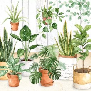 Urban Jungle 33x33 13313260