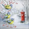33316800.napkins33x33cm Waitingformail 8878