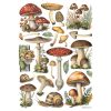 Dfsa41000 1 Rizoxarto Decoupage Stamperia Diy Xeirotexnia