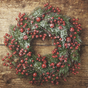 Στιγμιότυπο οθόνης 2025 11 21 132943