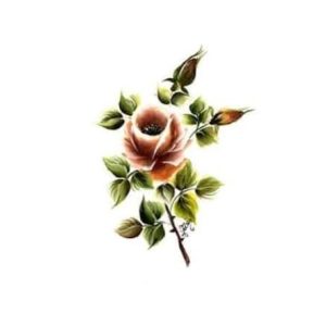 Transfer Urun Id 34776