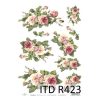 Itd R423