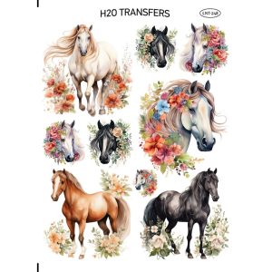 Lnt 248 Easy Transfer H20 Me Nero