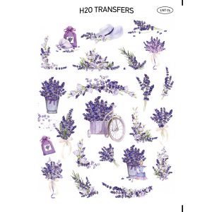 Lnt 74 Xarti Transfer Neroy H2o Easy Transfer