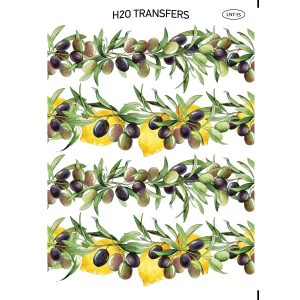 Lnt 75 Xarti Transfer Neroy H2o Easy Transfer