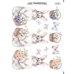 Lnt 88 Xarti Transfer Neroy H2o Easy Transfer