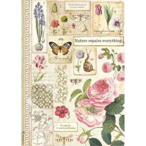 Dfsa4623 Ριζόχαρτο Stamperia 21x29cm A4 Botanical
