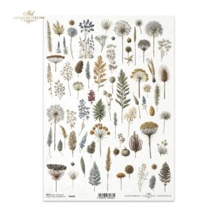 Στιγμιότυπο οθόνης 2026 04 02 144919