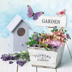 Slog035701 Xartopetseta Decoupage